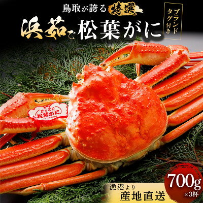 【蟹セレブ】松葉がに(タグ付)約700g×3杯【配送不可地域：離島・北海道・沖縄県】【2001941】