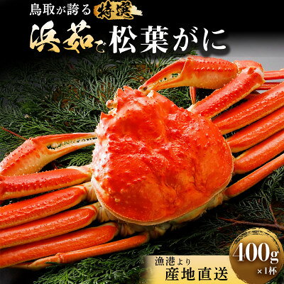 【蟹セレブ】松葉がに 約400g×1杯【配送不可地域：離島・北海道・沖縄県】【2002001】