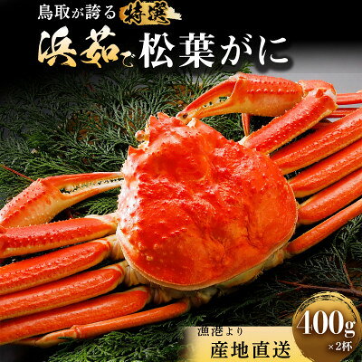 松葉がに 約400g×2杯