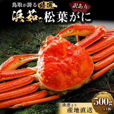 【蟹セレブ】松葉がに(訳あり)約500g×1杯【配送不可地域：離島・北海道・沖縄県】【2002028】