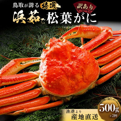 【蟹セレブ】松葉がに(訳あり)約500g×2杯【配送不可地域：離島・北海道・沖縄県】【2002029】