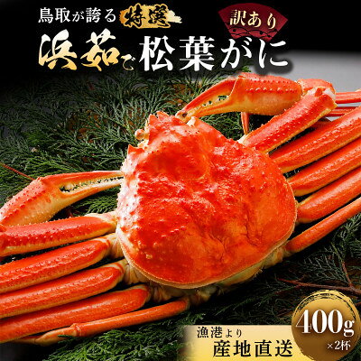 【蟹セレブ】松葉がに(訳あり)約400g×2杯【配送不可地域：離島・北海道・沖縄県】【2002035】