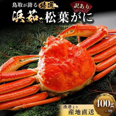 【蟹セレブ】松葉がに(訳あり)約400g×3杯【配送不可地域：離島・北海道・沖縄県】【2002050】