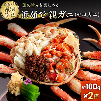 【蟹セレブ】セコガニ 約100g×2杯【配送不可地域：離島・北海道・沖縄県】【2002658】