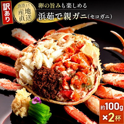 【蟹セレブ】セコガニ(訳あり) 約100g×2杯【配送不可地域：離島・北海道・沖縄県】【2002665】