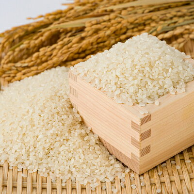 【ふるさと納税】【毎月定期便】【食味鑑定士厳選】鳥取県産 コシヒカリ5kg(5kg×1袋) 精米全3回【4083761】 f313289-chizu-10000443 鳥取県智頭町 サンプル画像2