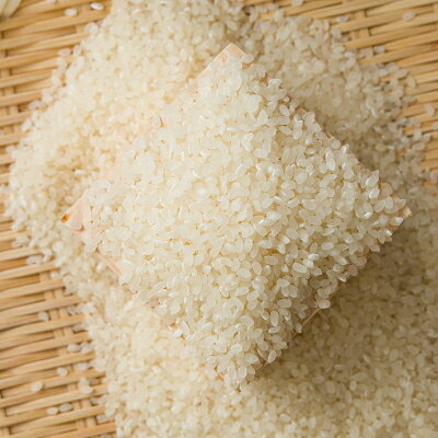 【ふるさと納税】【毎月定期便】【食味鑑定士厳選】鳥取県産 コシヒカリ5kg(5kg×1袋) 精米全3回【4083761】 f313289-chizu-10000443 鳥取県智頭町 サンプル画像3