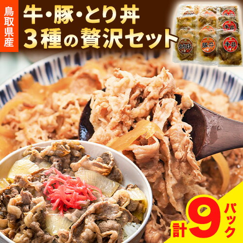 3位! 口コミ数「0件」評価「0」牛丼 豚丼 とり丼 鳥取県産牛・豚・とり丼贅沢セット 《90日以内に出荷予定(土日祝除く)》 鳥取県畜産農業協同組合 鳥取県 牛肉 豚肉 鶏･･･ 