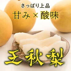 【ふるさと納税】《2022年発送分先行予約》王秋梨 5kg箱