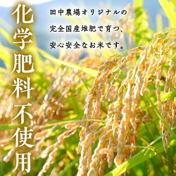 【ふるさと納税】特別栽培米コシヒカリ10kg 画像1