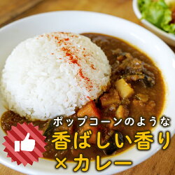 【ふるさと納税】カレー専用米“プリンセスかおり”5kg 画像1