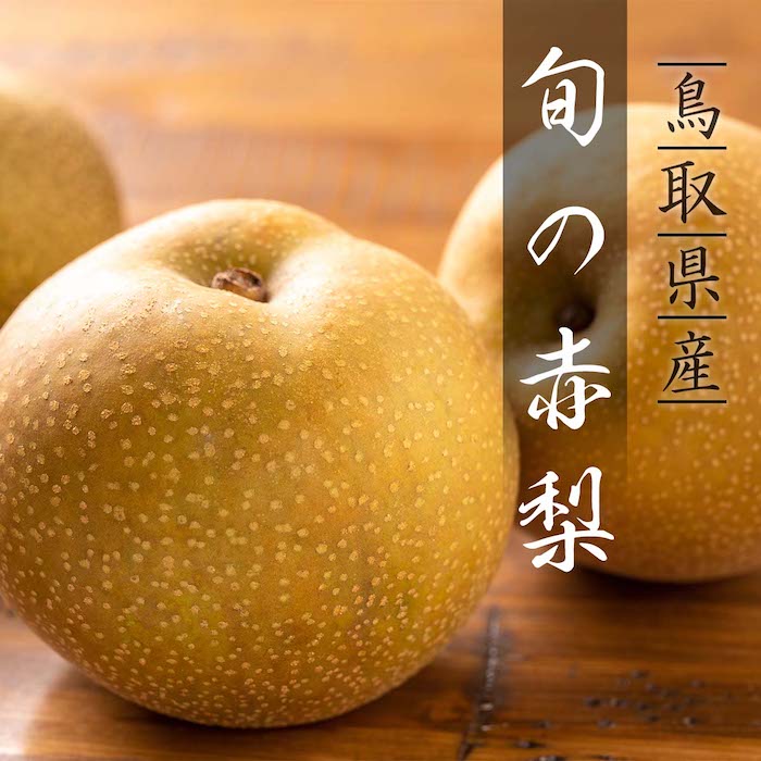 【ふるさと納税】旬の赤梨セット 3kg
