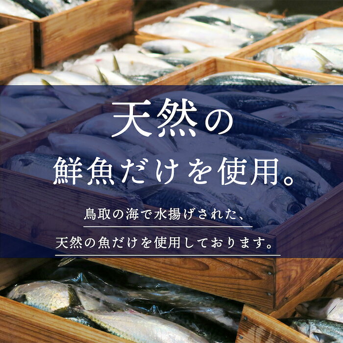 【ふるさと納税】日本海産手作り干物セット(のどぐろ入り)(小)