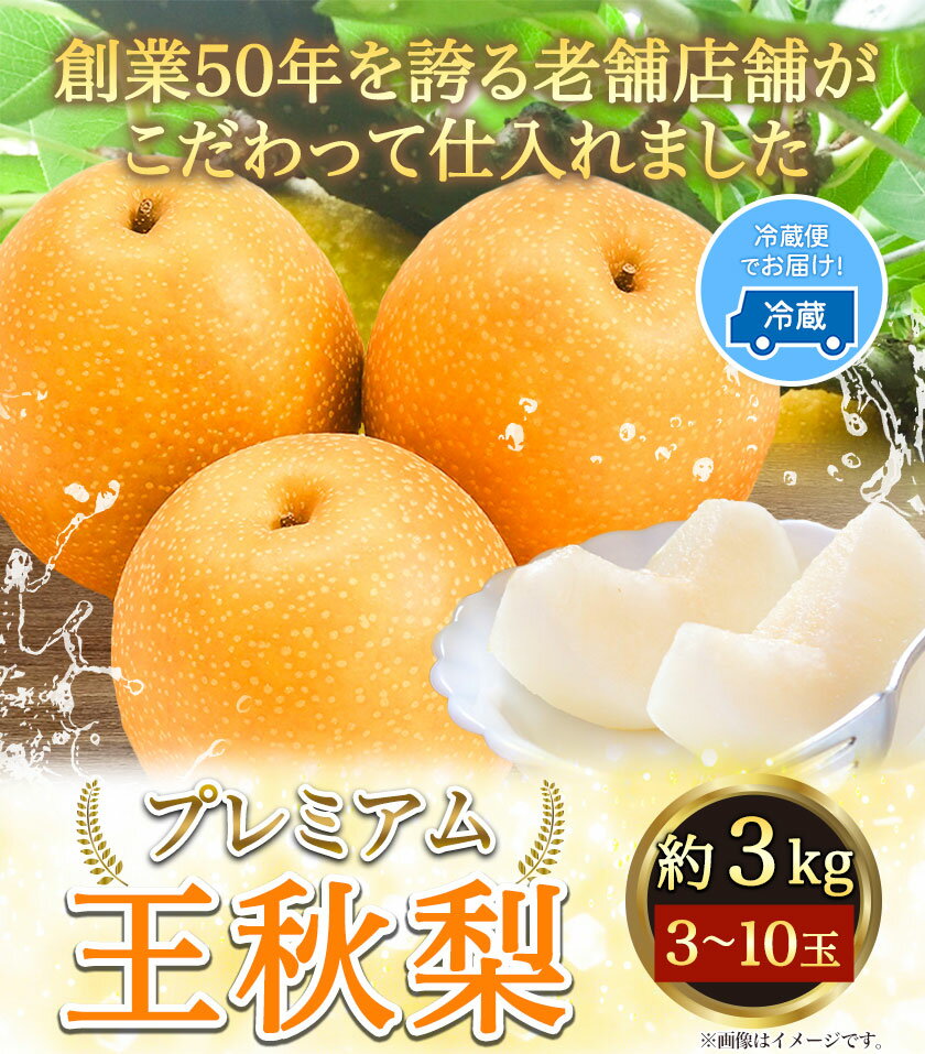 【ふるさと納税】【令和6年度先行予約】プレミアム 王秋梨 約3kg (3~10玉) 高間商店《11月上旬から1月上旬頃出荷》鳥取県 八頭町 梨なし ナシ 果物 フルーツ 厳選　先行予約　ふるさと納税　返礼品　国産　高間商店　　甘い　王秋梨　高糖度　冷蔵便