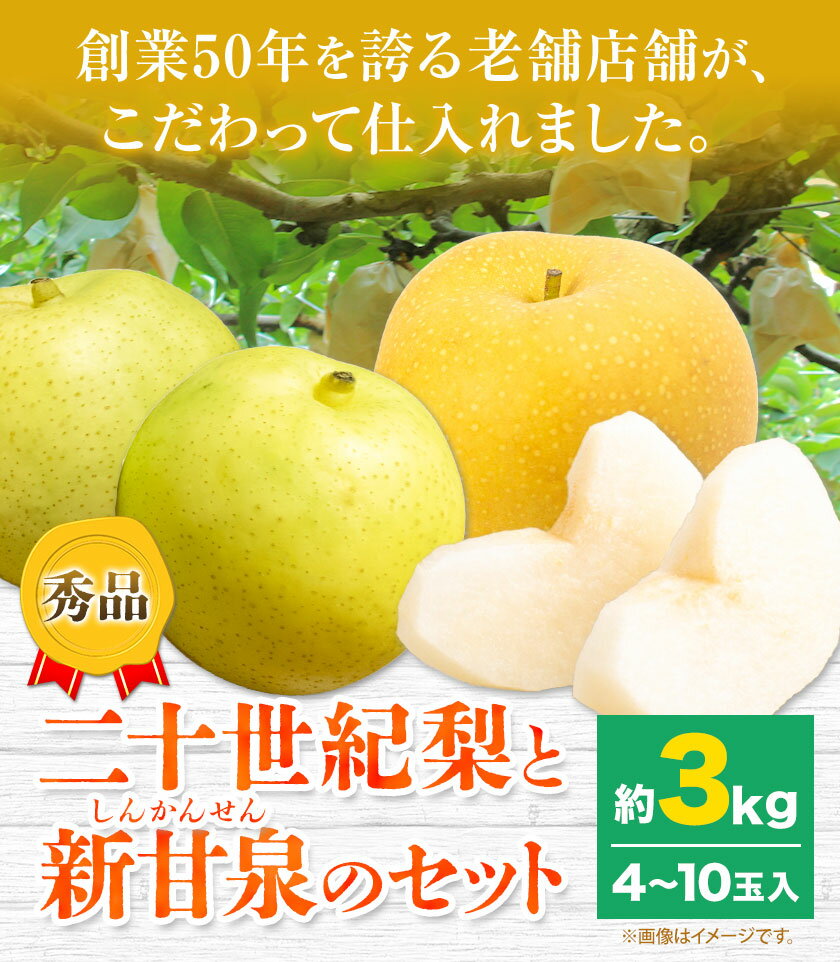 【ふるさと納税】【2026年先行予約】なし 梨 秀品 二十世紀梨と新甘泉梨のセット 約3kg(4〜10玉入) 高間商店《2026年8月下旬-10月上旬頃出荷》鳥取県 八頭町 青果物 フルーツ 梨 和梨