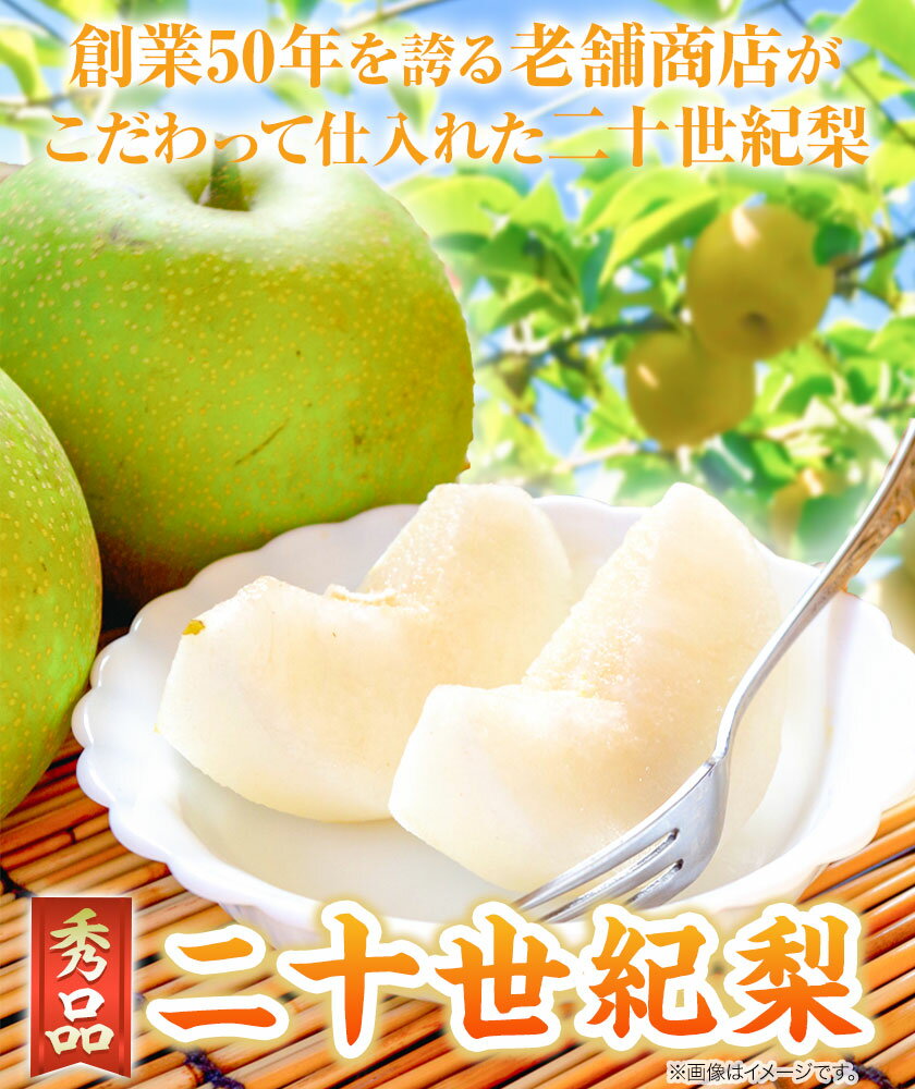 【ふるさと納税】【2026年先行予約】なし 梨 秀品 二十世紀梨 選べる 約4kg 約5kg 高間商店《2026年8月下旬-10月上旬頃出荷》鳥取県 八頭町 果物 フルーツ 和梨