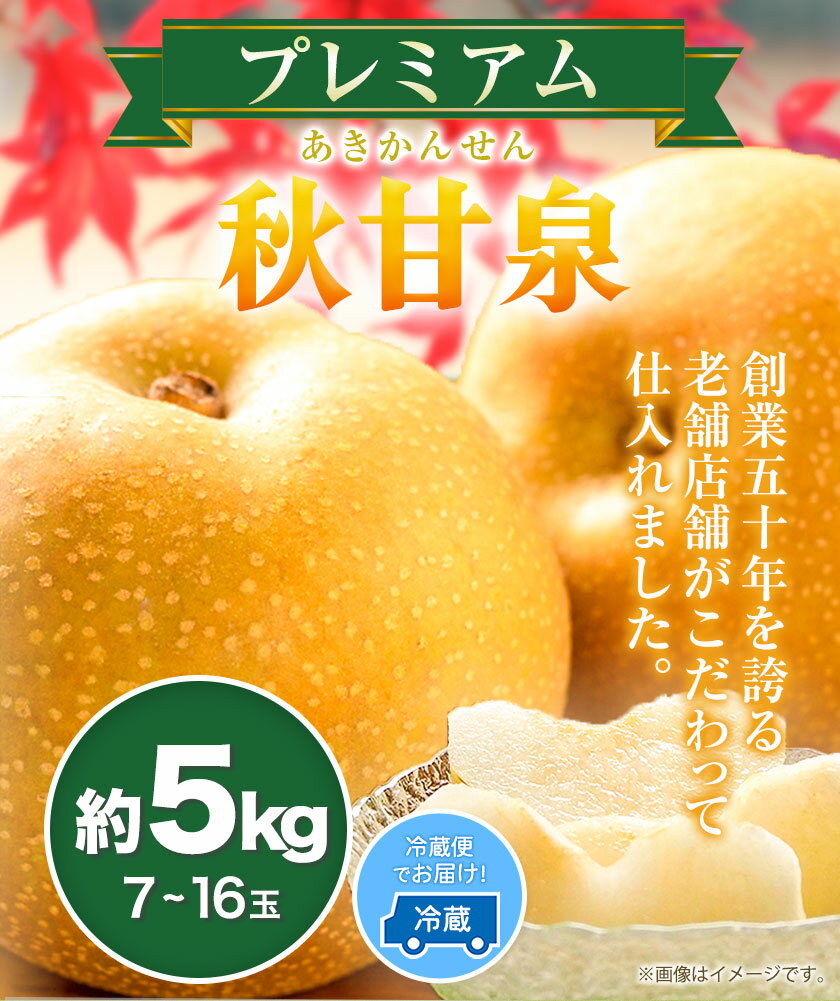 【ふるさと納税】【先行予約】プレミアム 秋甘泉 約5kg (7~16玉) 高間商店《2024年8月下旬から10月上旬頃出荷》鳥取県 八頭町 梨 なし ナシ 果物 フルーツ プレミアム　果汁　ふるさと納税　秋甘泉梨　果実　甘い　高間商店　オリジナル品種