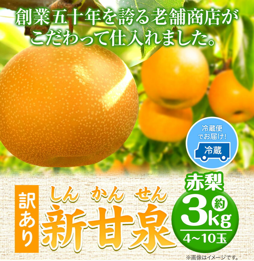 【ふるさと納税】【先行予約 】訳あり なし 梨 新甘泉 約3kg (4~10玉) 高間商店《2024年8月下旬から10月上旬頃出荷》 鳥取県 八頭町 梨 なし ナシ 果物 フルーツ ご家庭用 訳あり 先行予約 ふるさと納税 送料無料 甘い 果実 果汁 デザート 新甘泉梨 赤梨 冷蔵便