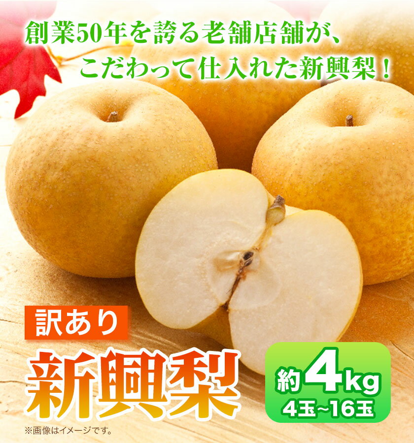 【ふるさと納税】【2026年先行予約】訳あり 新興梨 約4kg (4~16玉) 高間商店《2026年10月上旬-11月下旬頃出荷》鳥取県 八頭町 梨 なし ナシ 果物 フルーツ 厳選 訳あり 送料無料 新興梨 甘い 果実 果汁 高間商店
