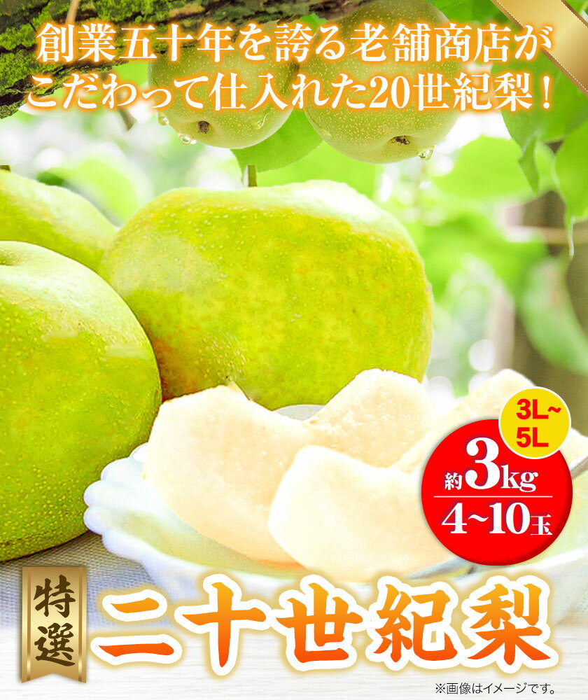 【ふるさと納税】【2025年先行予約】特選 二十世紀梨 約3kg (4~10玉) 3L~5Lサイズ《8月下旬-10月上旬頃出荷》 鳥取県 八頭町 梨 なし ナシ 果物 フルーツ 先行予約 ふるさと納税 送料無料 甘い 果実 果汁 デザート
