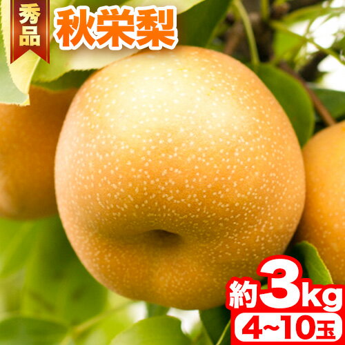 【ふるさと納税】【先行予約】秀品 秋栄梨 約3kg (4~10玉) 《2024年8月中旬から9月下旬頃出荷》 鳥取県 八頭町 梨 なし ナシ 果物 フルーツ 先行予約 ふるさと納税 送料無料 甘い 果実 果汁 デザート 冷蔵便