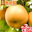 ڤդ뤵Ǽǡۡͽ۽  3kg (4~10) 2024ǯ8ܤ9ܺв١ Ļ踩 ȬƬĮ  ʤ ʥ ʪ ե롼 ͽ դ뤵Ǽ ̵ Ť ̼ ̽ ǥ ¢