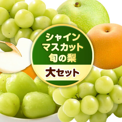 【ふるさと納税】【先行予約】梨 なし シャインマスカット と 旬 の 梨 セット (大) 高間商店《2024年8月下旬-10月上旬頃出荷》 鳥取県 八頭町 果物 くだもの フルーツ マスカット ナシ ぶどう ブドウのサムネイル