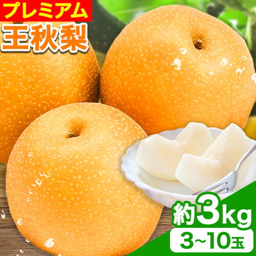 [令和6年度先行予約]プレミアム 王秋梨 約3kg (3~10玉) 高間商店[11月上旬から1月上旬頃出荷]鳥取県 八頭町 梨なし ナシ 果物 フルーツ 厳選 先行予約 ふるさと納税 返礼品 国産 高間商店 甘い 王秋梨 高糖度 冷蔵便