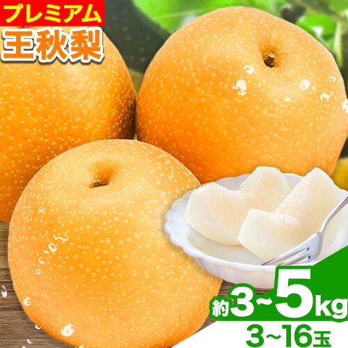 【ふるさと納税】【先行予約】プレミアム 王秋梨 選べる 約3kg (3~10玉) 約4kg (4~13玉) 約5kg (5~16玉) 高間商店《10月下旬-1月中旬頃出荷》鳥取県 八頭町 梨なし ナシ 果物 フルーツ 厳選 先行予約 ふるさと納税 返礼品 国産 高間商店 甘い 王秋梨 高糖度