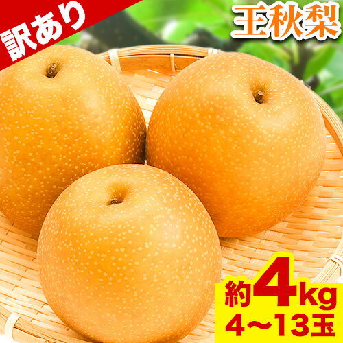 商品情報 【訳あり】王秋梨 名称 梨 内容量 約4kg(4~13玉) 賞味期限 できるだけお早めにお召し上がりください。 配送方法 冷蔵便でお届けします。 提供元 高間商店 ・ふるさと納税よくある質問はこちら ・寄附申込みのキャンセル、返礼品の変更・返品はできません。あらかじめご了承ください。寄附金の用途について 「ふるさと納税」寄附金は、下記の事業を推進する資金として活用してまいります。寄附を希望される皆さまの想いでお選びください。 [1]生活安全に関する事業 [2]健康・福祉に関する事業 [3]コミュニテイに関する事業 [4]環境保全に関する事業 [5]農林水産業に関する事業 [6]商工業に関する事業 [7]教育・文化に関する事業 [8]鉄道・バス等の公共交通に関する事業 [9]観光・交流に関する事業 [10]その他町長が必要と認める特定の事業