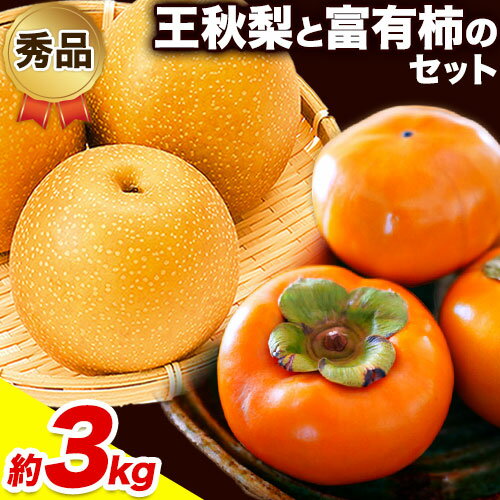 [先行予約]秀品 王秋梨と富有柿のセット 約3kg 高間商店[2024年11月上旬〜12月下旬頃出荷]鳥取県 八頭町 送料無料 梨 なし ナシ 柿 かき カキ 王秋梨 富有柿 果物 フルーツ ギフト 贈り物