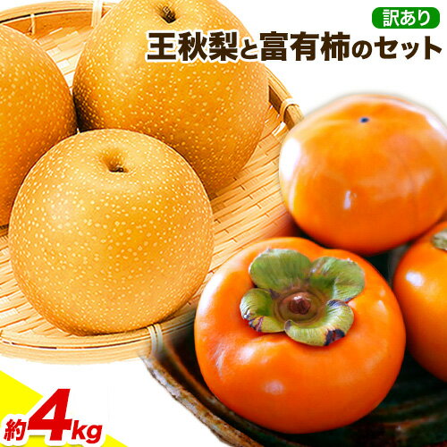 【ふるさと納税】【先行予約】秀品 訳あり 王秋梨と富有柿のセット 4kg 高間商店《2025年11月