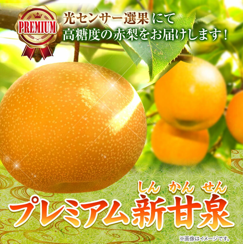 【ふるさと納税】【2026年先行予約】なし 梨 プレミアム 新甘泉 選べる 約3kg (4〜10玉) 約5kg (7〜16玉) 高間商店《2026年8月下旬-10月上旬頃出荷》 鳥取県 八頭町 梨 なし ナシ 果物 フルーツ 厳選 先行予約 ふるさと納税 送料無料 甘い 果実 果汁 デザート 新甘泉梨 赤梨
