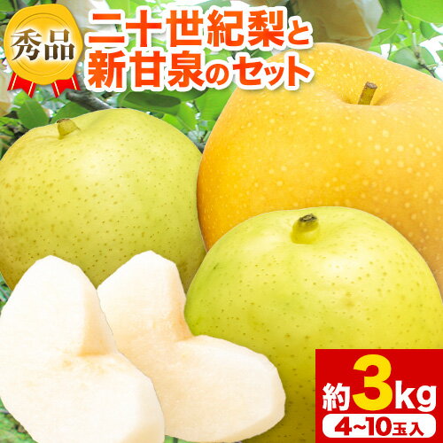 [先行予約]なし 梨 秀品 二十世紀梨と新甘泉梨のセット 約3kg(4〜10玉入) 高間商店[2025年8月下旬-10月上旬頃出荷]鳥取県 八頭町 青果物 フルーツ 梨 和梨