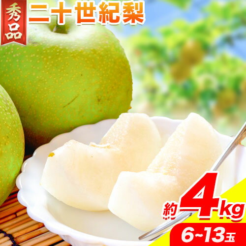 【ふるさと納税】なし 梨 秀品 二十世紀梨 約4kg 高間商店《8月下旬-10月上旬頃出荷》鳥取県 八頭町 果物 フルーツ 和梨 1