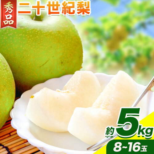 梨 なし 二十世紀梨(秀) 約5kg[8月下旬から10月上旬頃出荷]鳥取県 八頭町 フルーツ 秀品 果物 くだもの 5kg 送料無料