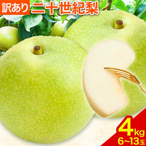 【ふるさと納税】【訳あり】二十世紀梨 約4kg (6~13玉