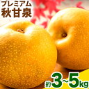 【ふるさと納税】【先行予約】プレミアム 秋甘泉 選べる 約 3kg (4~10玉) 約 5kg (7~16玉) 高間商店《2025年8月下旬-10月上旬頃出荷》鳥取県 八頭町 梨 なし ナシ 果物 フルーツ プレミアム 果汁 ふるさと納税 秋甘泉梨 果実 甘い 高間商店 オリジナル品種