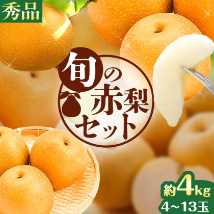 旬 の 赤梨 セット 約4kg (4~13玉) 《8月下旬から1月上旬頃出荷》 鳥取県 八頭町 梨 なし ナシ 果物 フルーツ 秀品 厳選　冷蔵　ふるさと納税　高間商店　幸水　豊水　秋栄梨　秋甘泉　新甘泉　新高梨　あたご梨　王秋梨　先行予約　フルーツセット