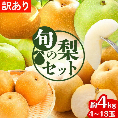 【先行予約】訳あり なし 梨 旬 鳥取県産 旬の梨セット 約4kg (4~13玉) 高間商店 《8月下旬から1月上旬頃より発送予定》鳥取県 八頭町 梨 なし 果物 フルーツ 冷蔵 幸水 豊水 秋栄梨 秋甘泉 新甘泉 新高梨 あたご梨 王秋梨