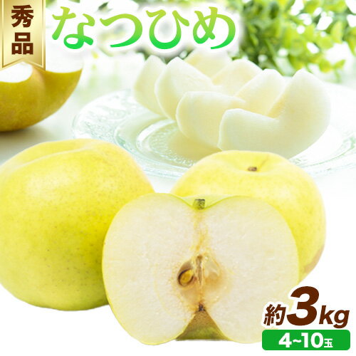 [先行予約]秀品 なつひめ 約3kg (4~10玉)[2024年8月中旬から9月上旬頃出荷]鳥取県 八頭町 梨 なし ナシ 果物 フルーツ 秀品 なつひめ ギフト 果汁 先行予約 ふるさと納税 国産 高間商店