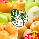 【ふるさと納税】訳あり なし 梨 旬 鳥取県産 旬の梨セット 選べる内容量 約3kg (3~10玉) 約4kg (4~13玉) 高間商店 《2025年8月下旬-...