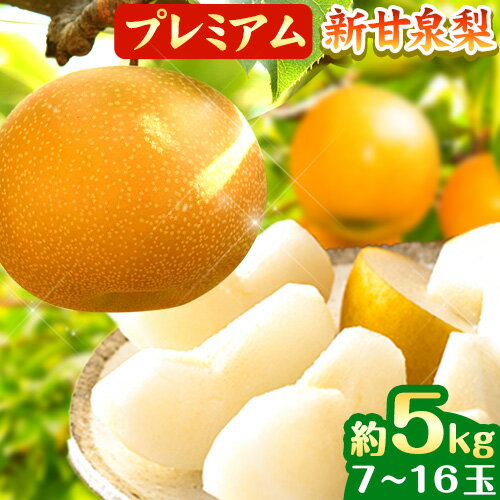 【ふるさと納税】【先行予約】なし 梨 プレミアム 新甘泉 約5kg (7~16玉) 高間商店《2024年8月下旬-10月上旬頃出荷》 鳥取県 八頭町 果物 フルーツ 厳選 先行予約 プレミアム ふるさと納税 送料無料 甘い 果実 果汁 デザート 新甘泉梨 冷蔵便のサムネイル