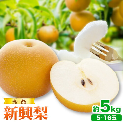 【ふるさと納税】秀品 新興梨 約5kg (5~16玉) 高間商店《10月中旬から12月上旬頃より順次出荷》鳥取県 八頭町　八頭 梨 なし ナシ 果物 フルーツ 秀品　高間商店　新興梨　ふるさと納税　甘い　果汁　果実　くだもの　冷蔵便のサムネイル