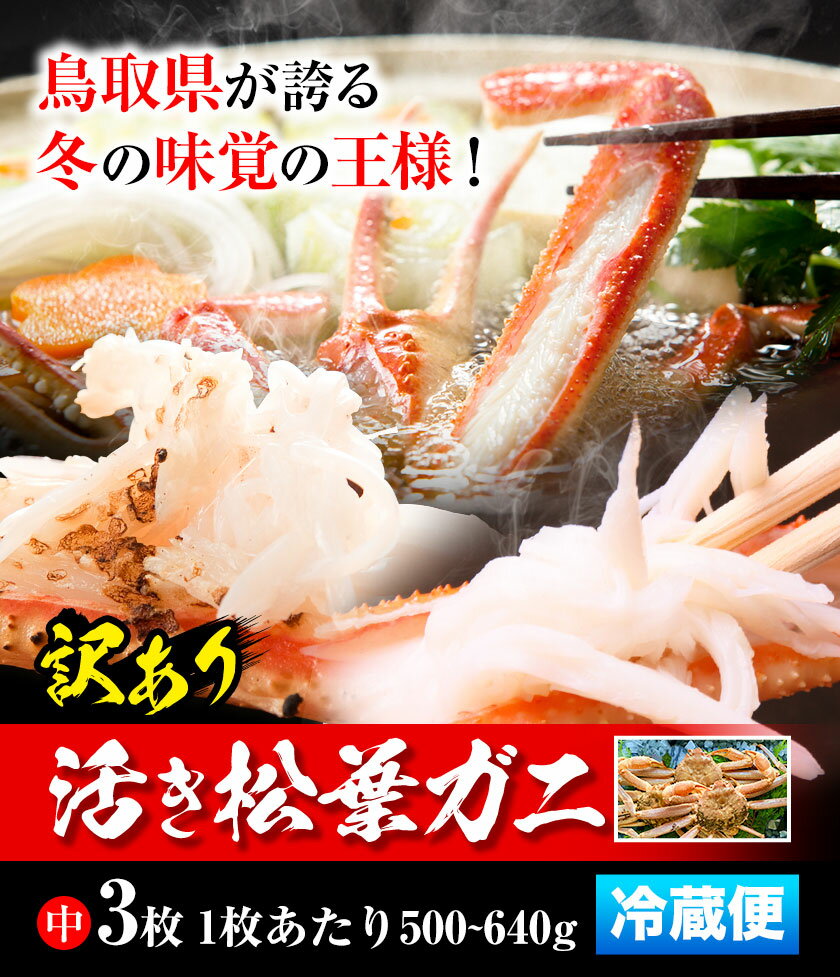 【ふるさと納税】【先行予約】【活き】訳あり 松葉ガニ 中 3枚(1枚/500～640g前後) 高間商店《11月上旬-3月下旬頃出荷》鳥取県 八頭町 送料無料 カニ 蟹 かに 訳あり 鍋 珍味 冬 グルメ ズワイガニ