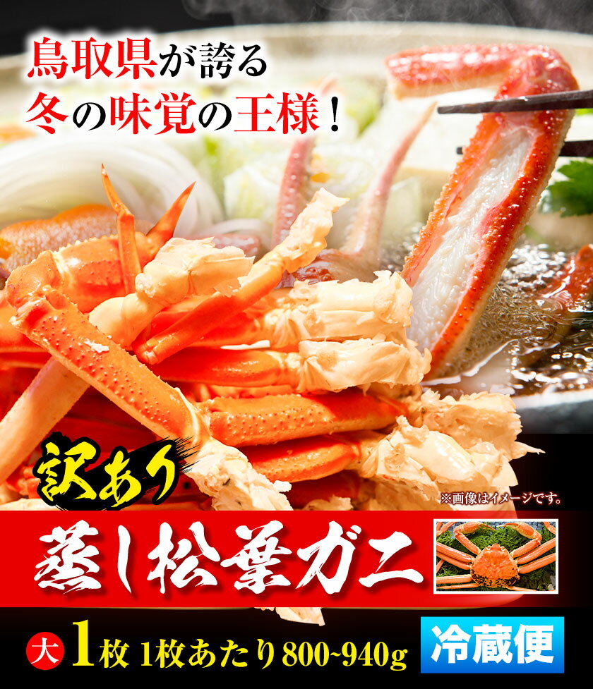 【ふるさと納税】【先行予約】【蒸し】訳あり 松葉ガニ 大 1枚(1枚/800～940g前後) 高間商店《11月上旬-3月下旬頃出荷》鳥取県 八頭町 送料無料 カニ 蟹 かに 訳あり 鍋 珍味 冬 グルメ ズワイガニ