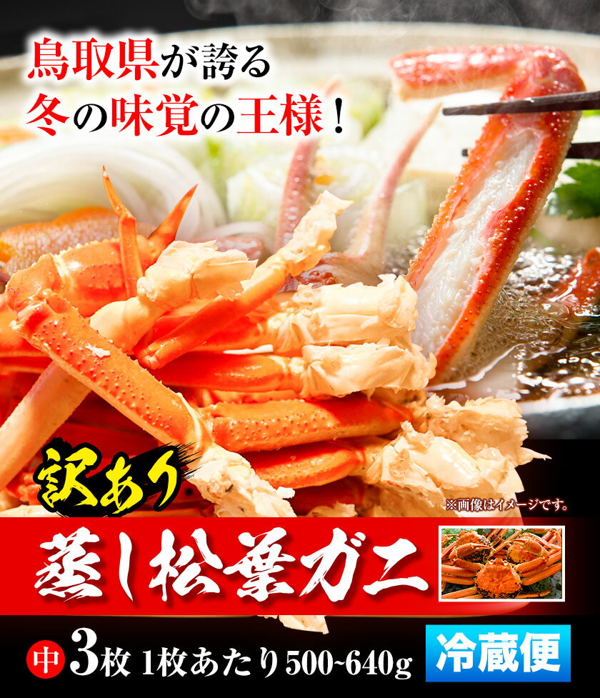 【ふるさと納税】【先行予約】【蒸し】訳あり 松葉ガニ 中 3枚(1枚/500～640g前後) 高間商店《11月上旬-3月下旬頃出荷》鳥取県 八頭町 送料無料 カニ 蟹 かに 訳あり 鍋 珍味 冬 グルメ ズワイガニ