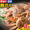 訳あり 足折れ 日本海産 親ガニ セコガニ 3枚(甲羅のサイズ7.5~8.5cm) 高間商店《11月上旬-1月中旬頃出荷予定》鳥取県 八頭町 送料無料 カニ 蟹 かに 訳あり 足折れ 鍋 珍味 ズワイガニ