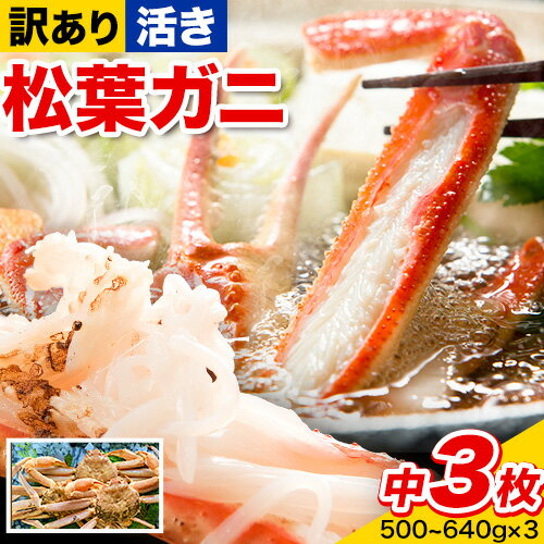 【ふるさと納税】【活き】訳あり 松葉ガニ 中 3枚(1枚/500〜640g前後) 高間商店《11月中旬-3月下旬頃出荷》鳥取県 八頭町 送料無料 カニ 蟹 かに...