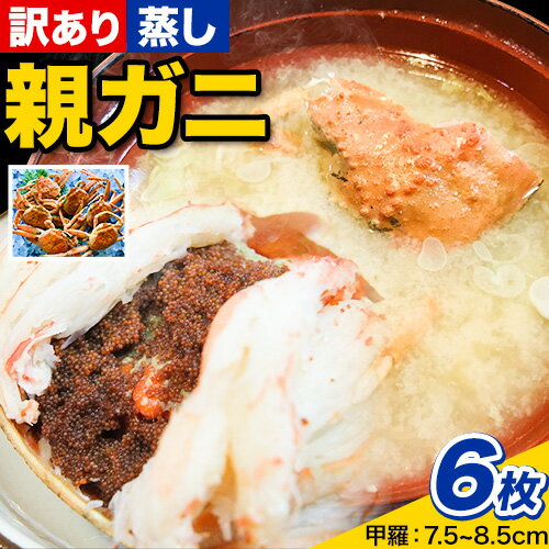 【ふるさと納税】【蒸し】訳あり 足折れ 日本海産 親ガニ セコガニ 6枚(甲羅のサイズ7.5~8.5cm) 高間商店《11月中旬-1月中旬頃出荷予定》鳥取県 八...